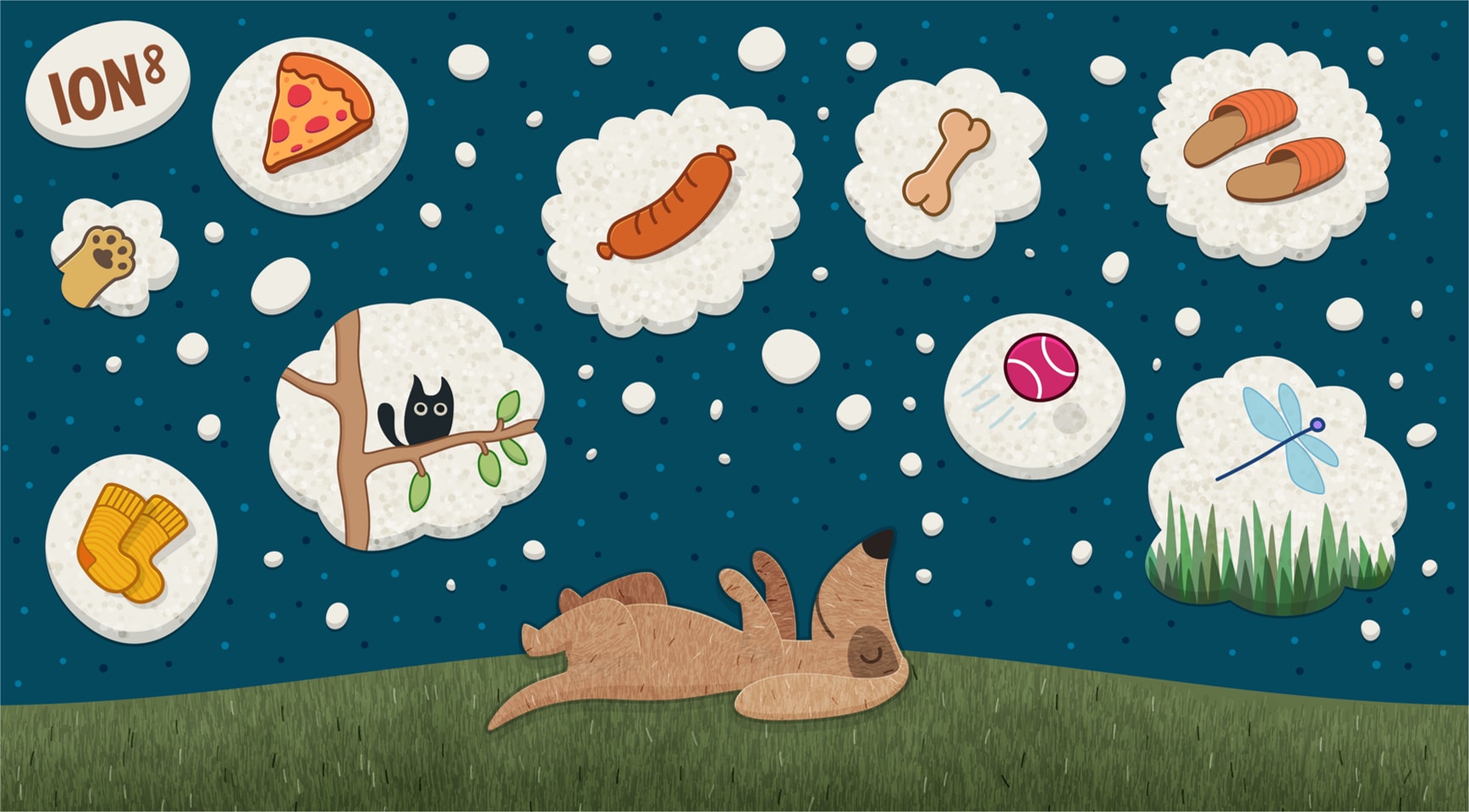 Bottle preview - Dog+Dreaming